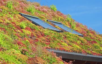 Millow living roof systems