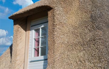 Millow thatch roof disadvantages