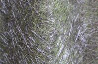 Millow fibreglass roof work